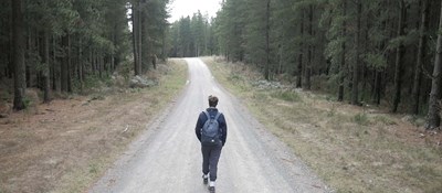A person walking alone on a road through a green forest to boost resilience 