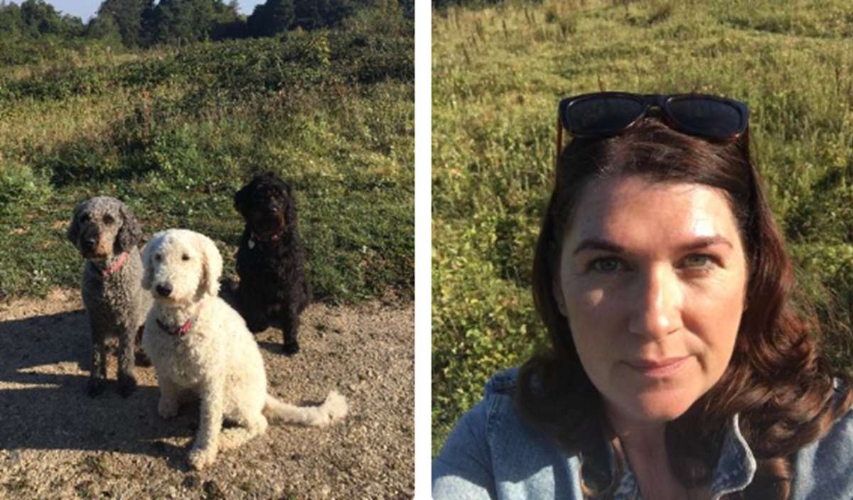 Two photos side by side: three dogs sitting on a countryside path, and a selfie of a woman with sunglasses on her head in a sunny field.