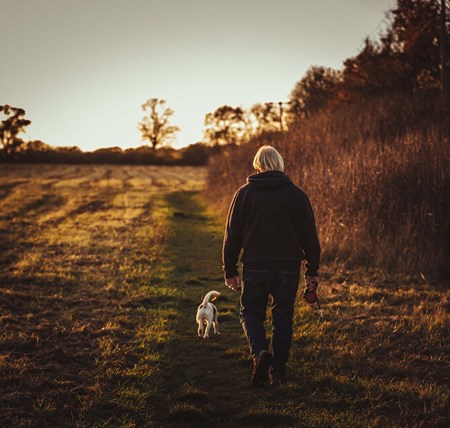 Person walking their dog through a field at sunrise