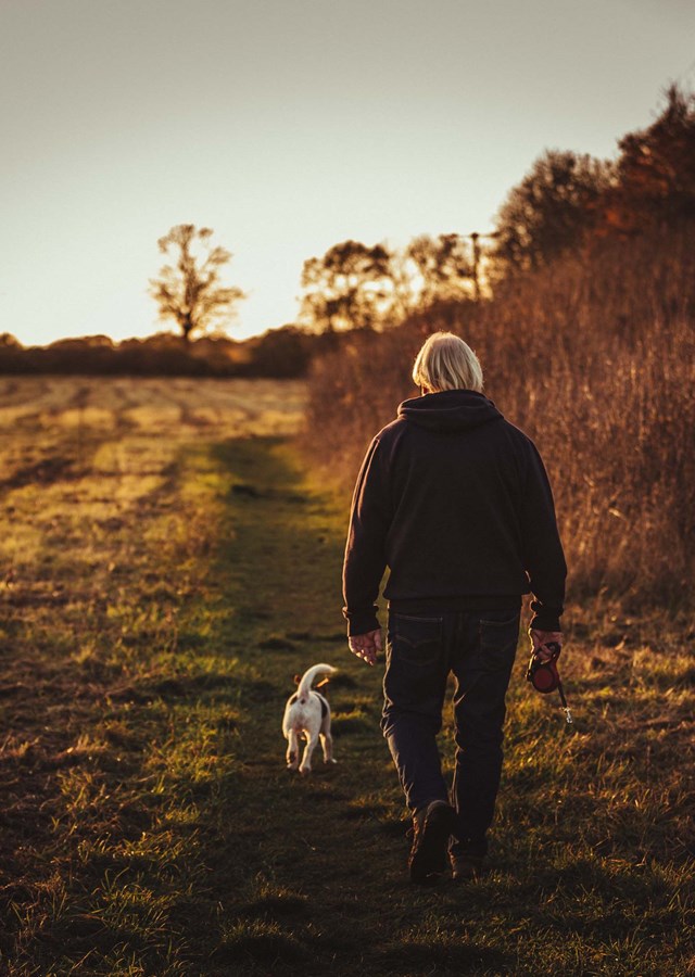 Person walking their dog through a field at sunrise