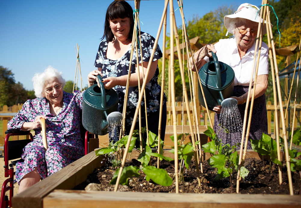 Birch Hill Care Home Norham Ben Care