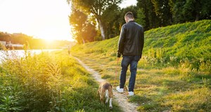 Person walking his beagle next to the river