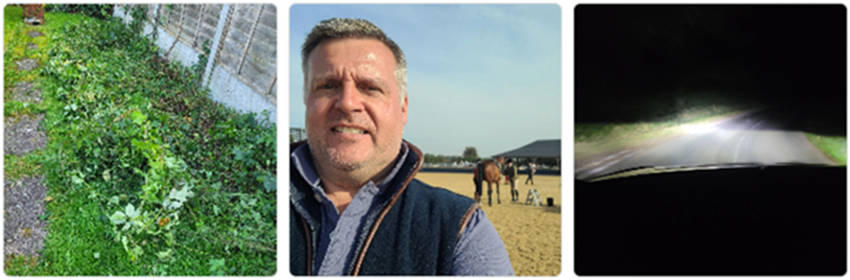 Three photos side by side: an overgrown grass verge, a smiling man taking a selfie on a beach with horses behind him, and a dark road lit by car headlights at night.