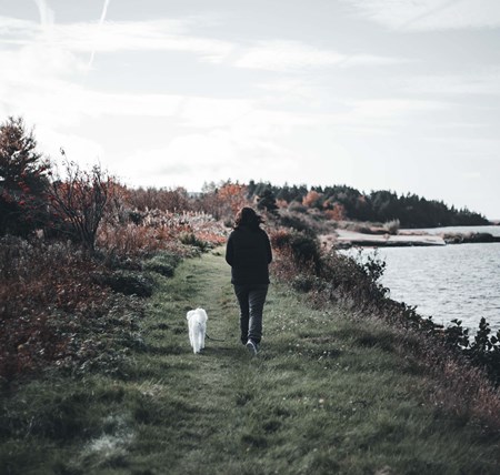 A person walking with their white dog next to the sea