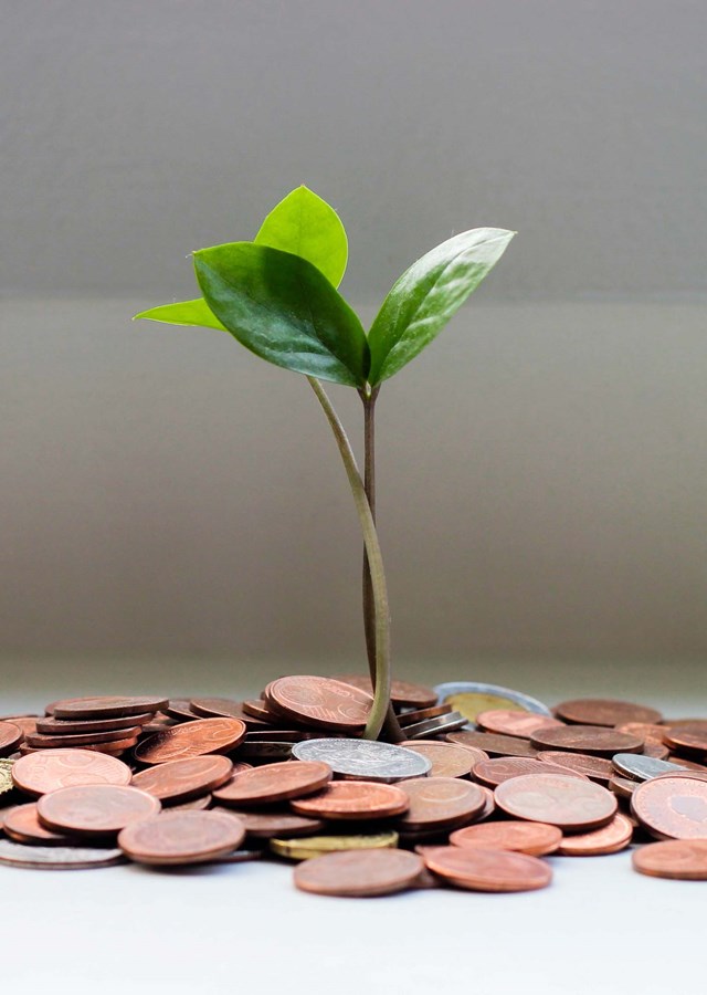 A pile of coins with green plants growing from the centre of it