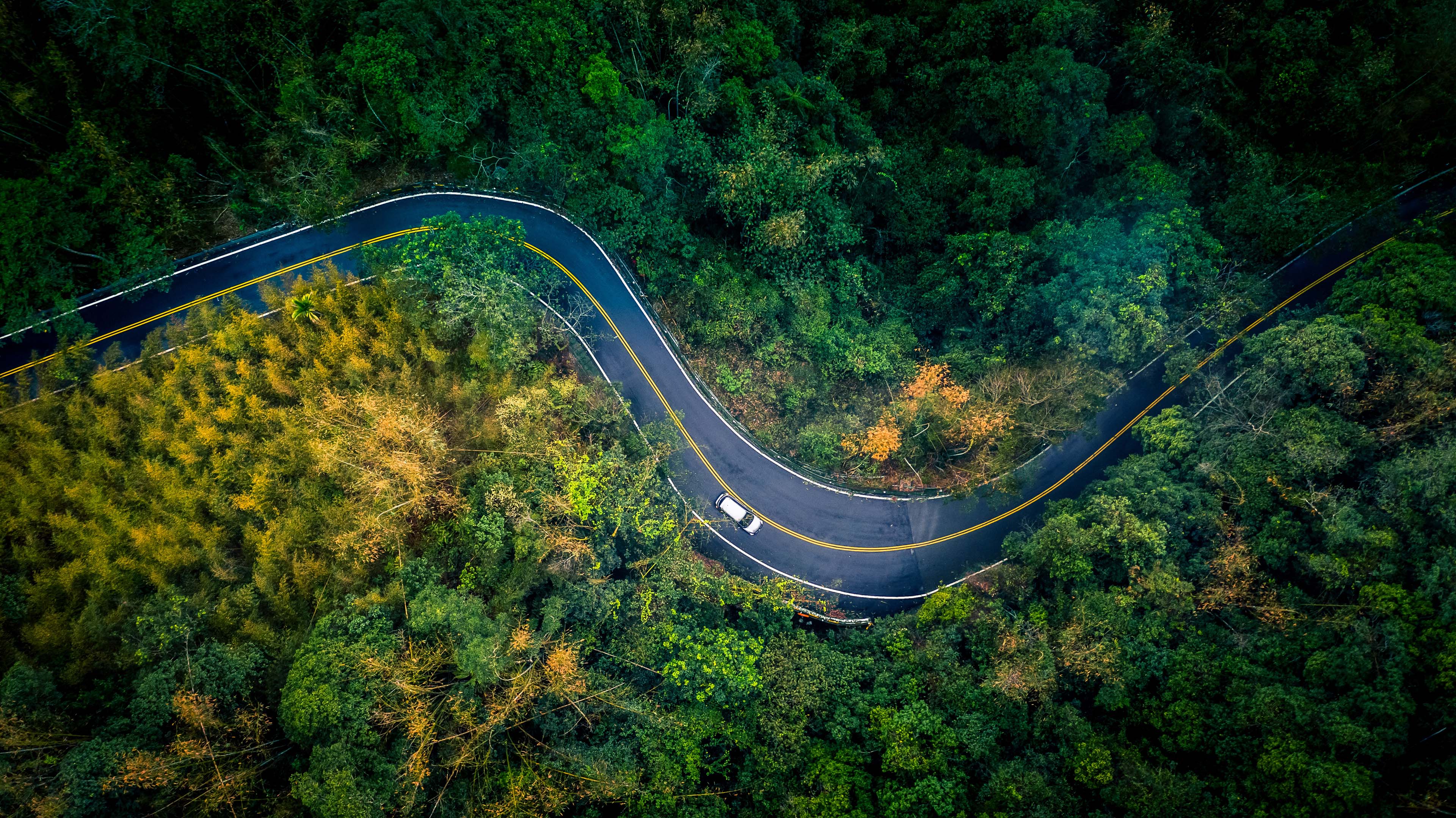 Car driving down a winding road through a forest