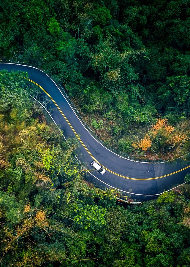Car driving down a winding road in the middle of a forest