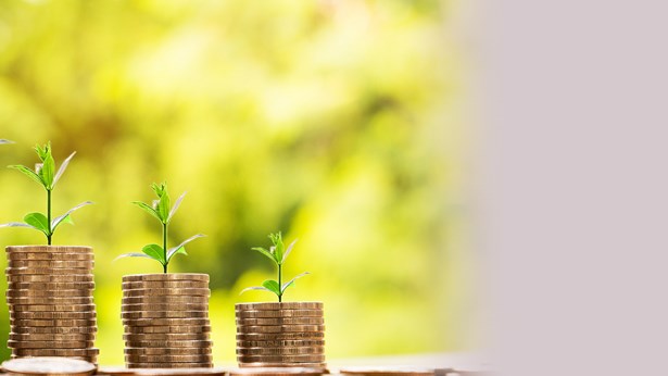 Stacks of coins with plants growing from them