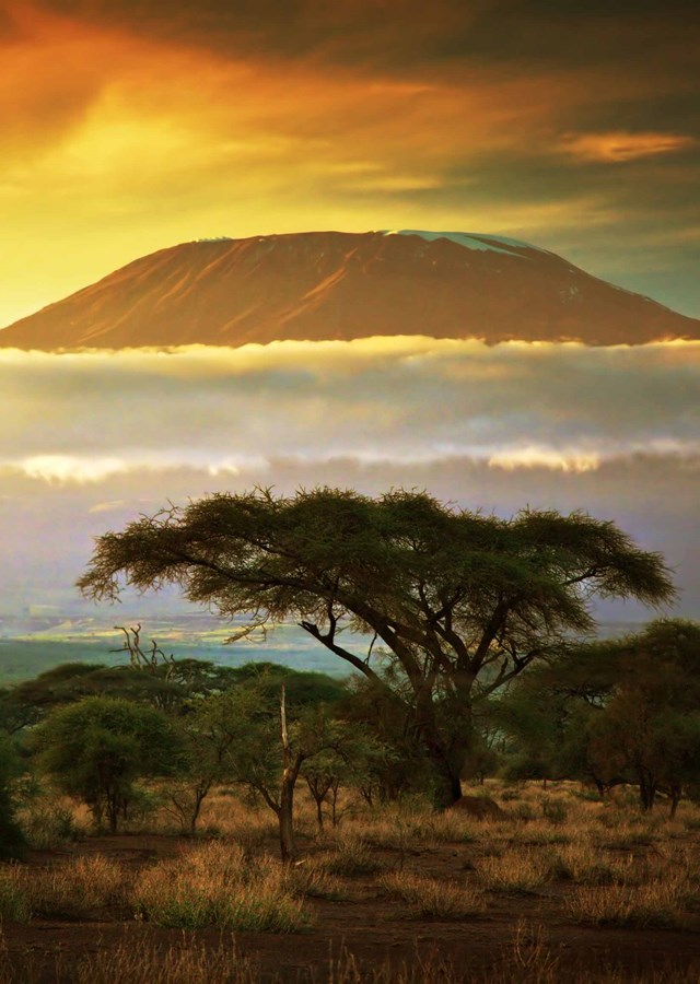 Mount Kilimanjaro from afar at sunset